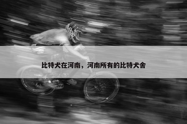 比特犬在河南，河南所有的比特犬舍