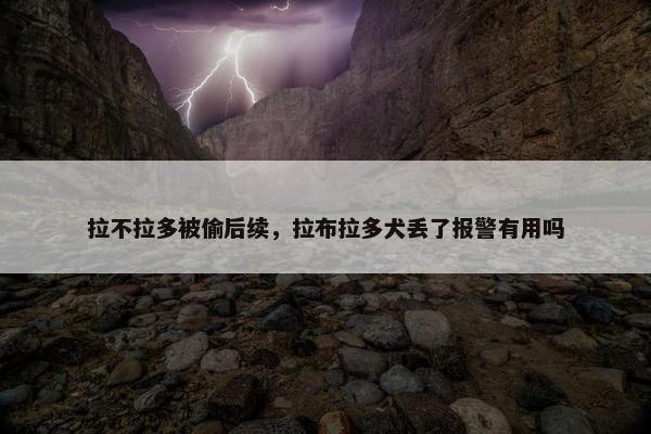 拉不拉多被偷后续，拉布拉多犬丢了报警有用吗