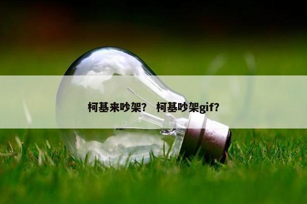 柯基来吵架？ 柯基吵架gif？