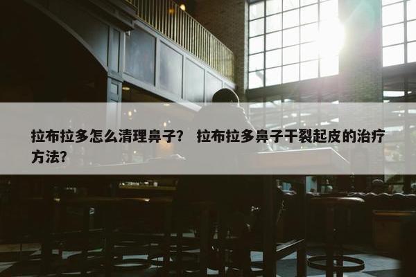 拉布拉多怎么清理鼻子？ 拉布拉多鼻子干裂起皮的治疗方法？