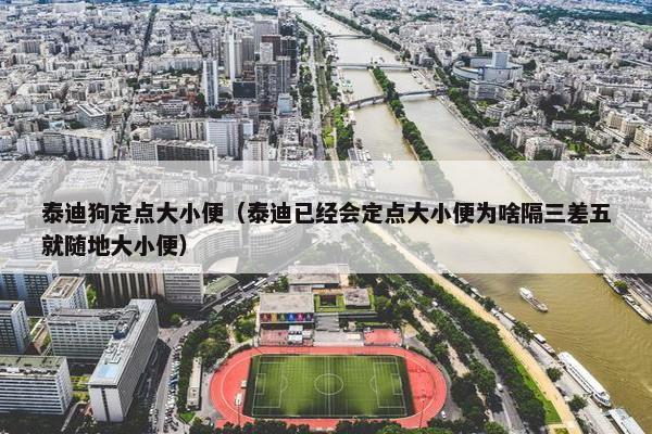 泰迪狗定点大小便（泰迪已经会定点大小便为啥隔三差五就随地大小便）