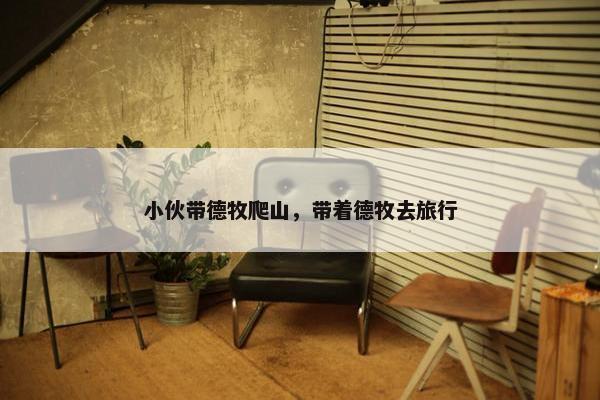 小伙带德牧爬山，带着德牧去旅行