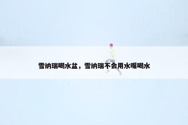 雪纳瑞喝水盆，雪纳瑞不会用水嘴喝水