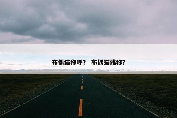 布偶猫称呼？ 布偶猫雅称？