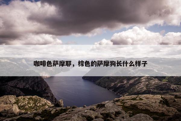 咖啡色萨摩耶，棕色的萨摩狗长什么样子