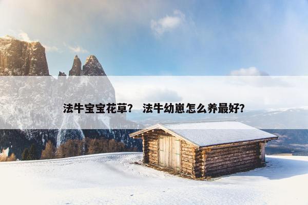 法牛宝宝花草？ 法牛幼崽怎么养最好？