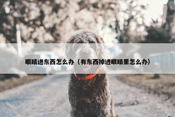 眼睛进东西怎么办（有东西掉进眼睛里怎么办）