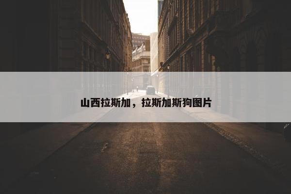 山西拉斯加，拉斯加斯狗图片