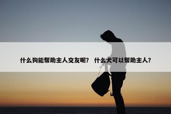 什么狗能帮助主人交友呢？ 什么犬可以帮助主人？