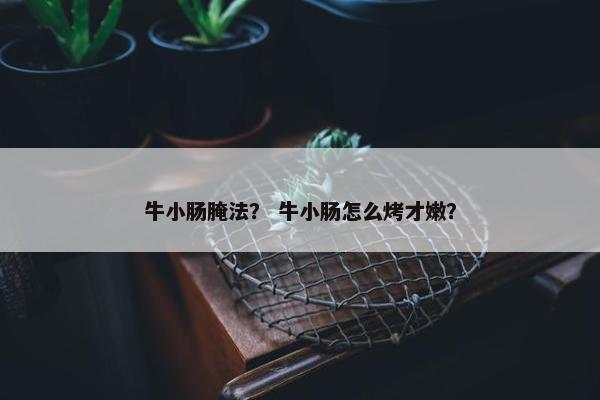 牛小肠腌法？ 牛小肠怎么烤才嫩？