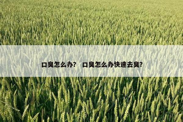 口臭怎么办？ 口臭怎么办快速去臭？