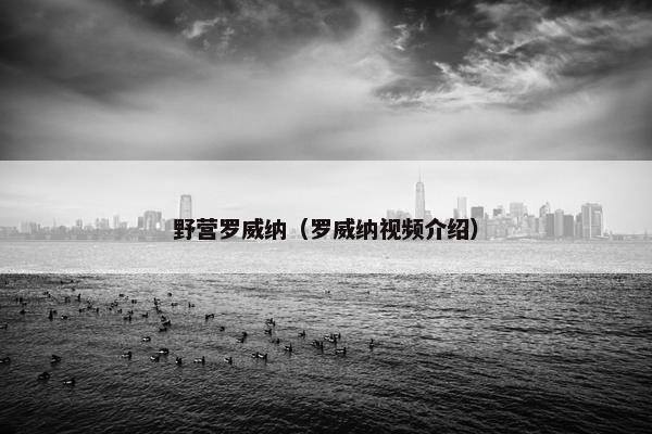 野营罗威纳（罗威纳视频介绍）