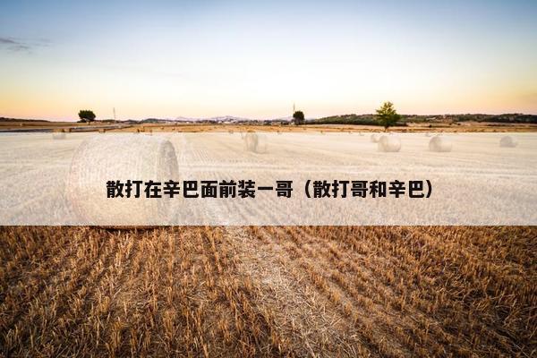 散打在辛巴面前装一哥（散打哥和辛巴）