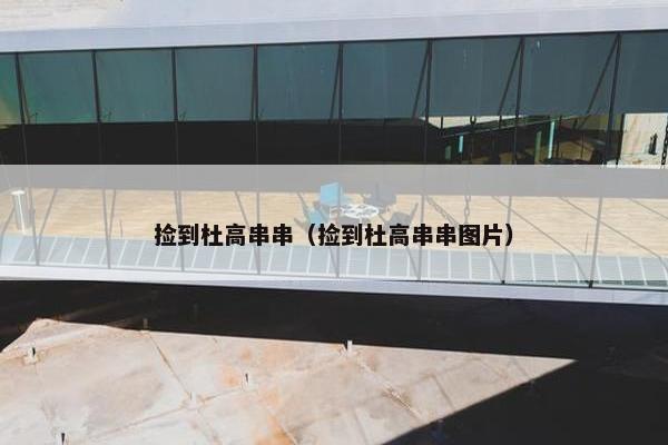 捡到杜高串串（捡到杜高串串图片）
