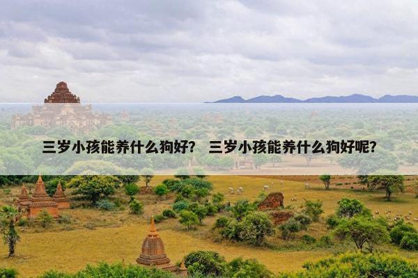 三岁小孩能养什么狗好？ 三岁小孩能养什么狗好呢？