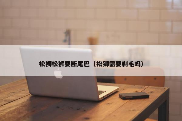 松狮松狮要断尾巴（松狮需要剃毛吗）