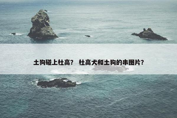 土狗碰上杜高？ 杜高犬和土狗的串图片？