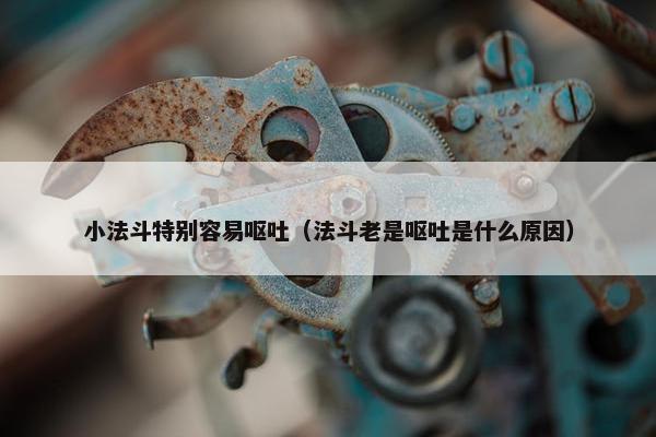 小法斗特别容易呕吐（法斗老是呕吐是什么原因）