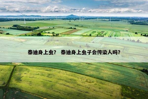 泰迪身上虫？ 泰迪身上虫子会传染人吗？