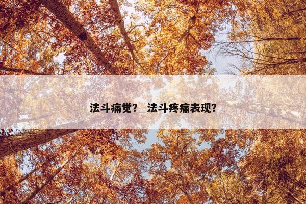 法斗痛觉？ 法斗疼痛表现？