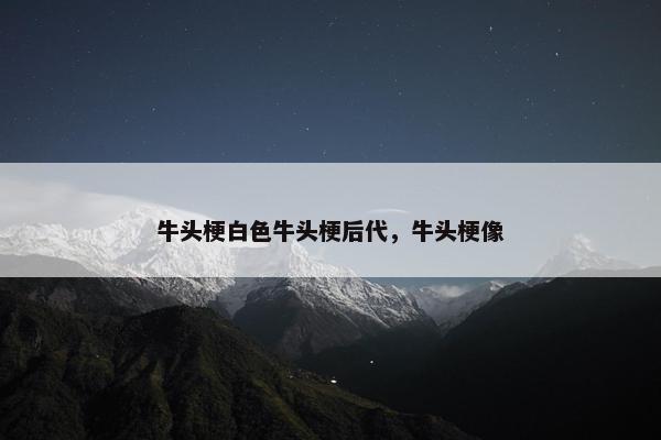 牛头梗白色牛头梗后代，牛头梗像