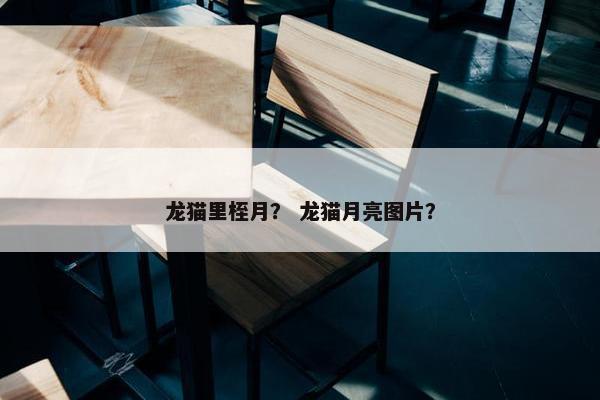 龙猫里桎月？ 龙猫月亮图片？