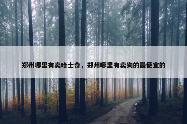 郑州哪里有卖哈士奇，郑州哪里有卖狗的最便宜的