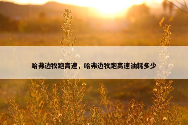 哈弗边牧跑高速，哈弗边牧跑高速油耗多少