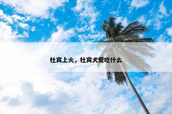 杜宾上火，杜宾犬爱吃什么