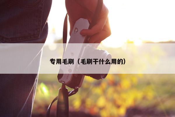 专用毛刷（毛刷干什么用的）