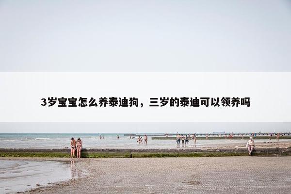 3岁宝宝怎么养泰迪狗，三岁的泰迪可以领养吗