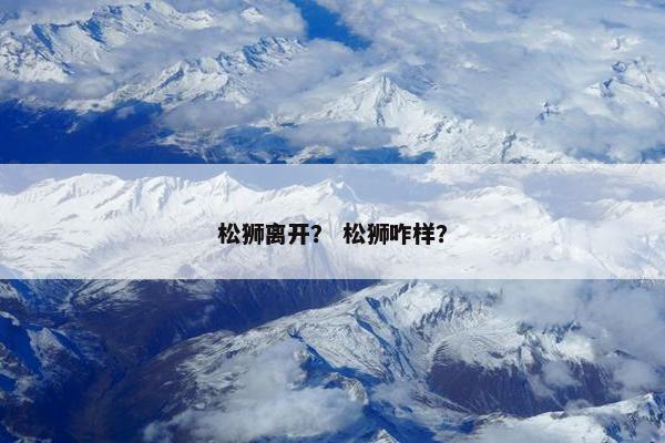 松狮离开？ 松狮咋样？