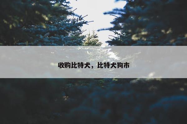 收购比特犬，比特犬狗市