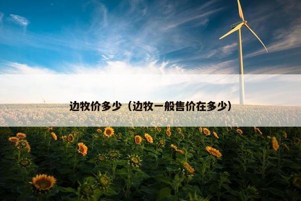 边牧价多少（边牧一般售价在多少）