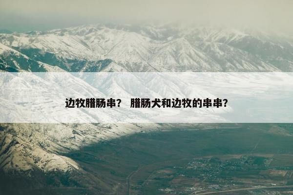 边牧腊肠串？ 腊肠犬和边牧的串串？