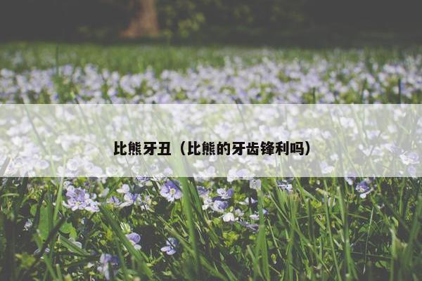 比熊牙丑（比熊的牙齿锋利吗）