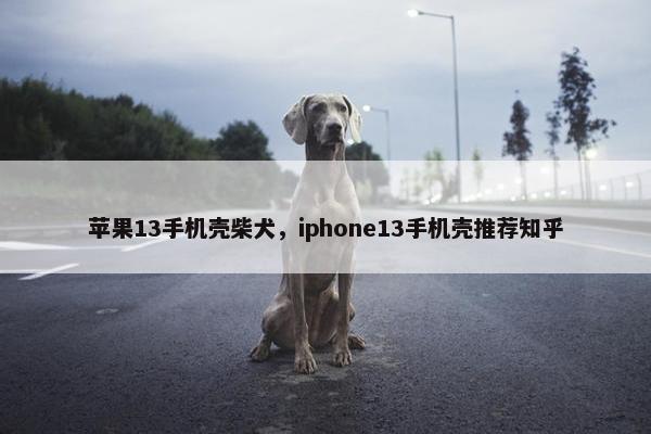 苹果13手机壳柴犬，iphone13手机壳推荐知乎