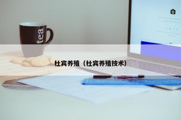杜宾养殖（杜宾养殖技术）
