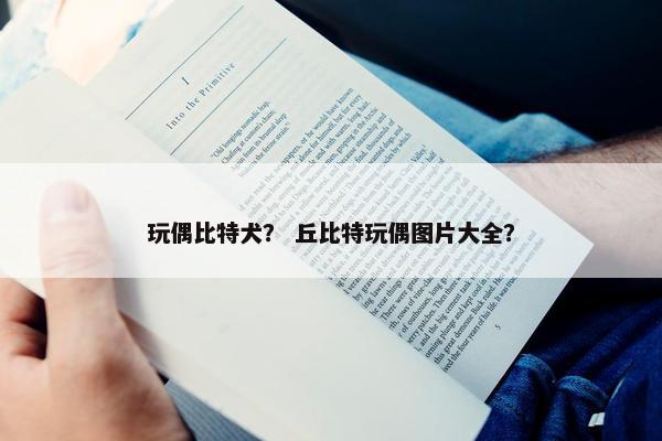 玩偶比特犬？ 丘比特玩偶图片大全？