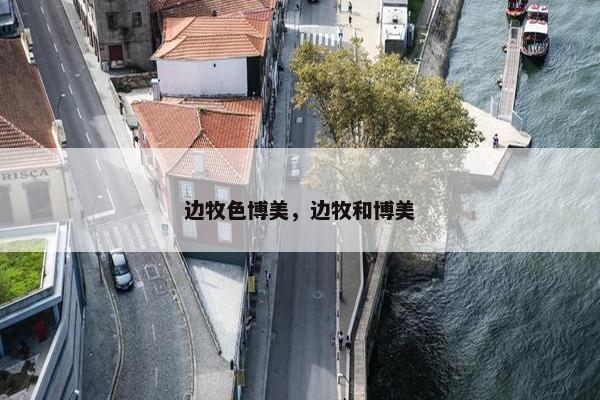 边牧色博美，边牧和博美