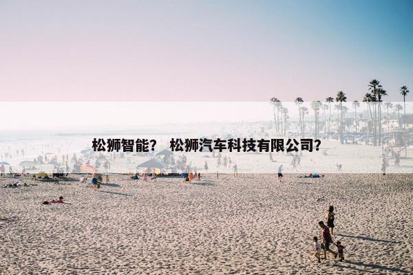 松狮智能？ 松狮汽车科技有限公司？