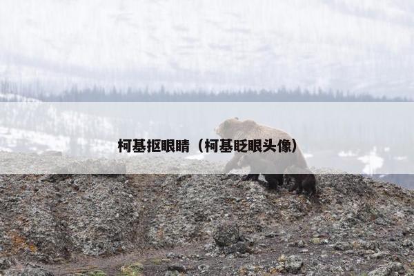 柯基抠眼睛（柯基眨眼头像）