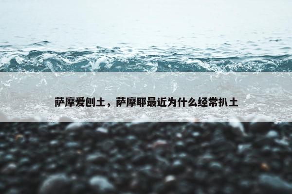 萨摩爱刨土，萨摩耶最近为什么经常扒土