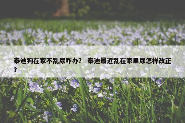 泰迪狗在家不乱尿咋办？ 泰迪最近乱在家里尿怎样改正？