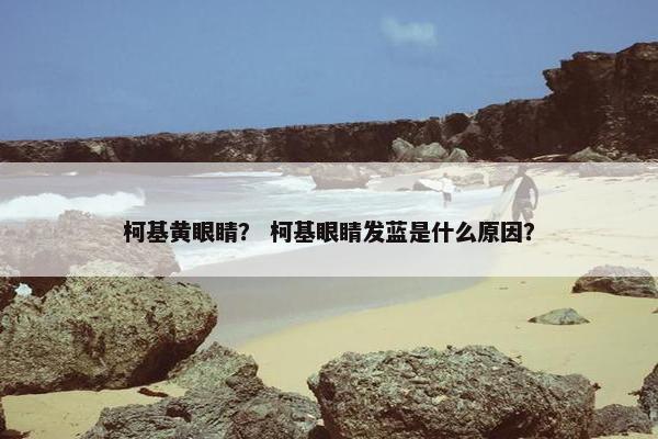 柯基黄眼睛？ 柯基眼睛发蓝是什么原因？