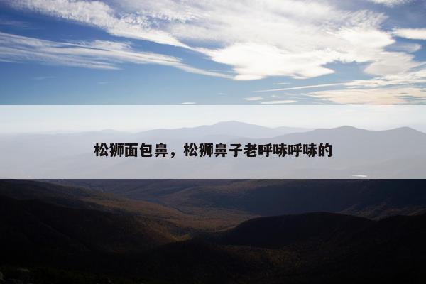 松狮面包鼻，松狮鼻子老呼哧呼哧的