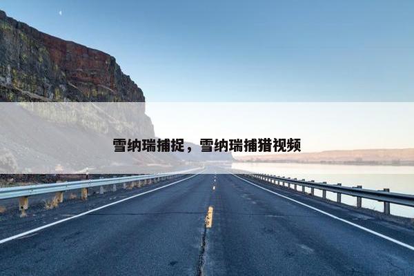 雪纳瑞捕捉，雪纳瑞捕猎视频