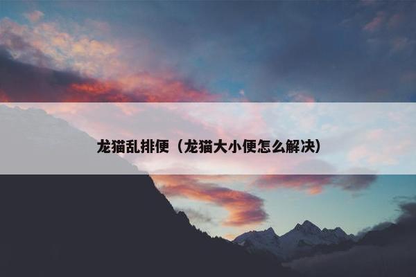 龙猫乱排便（龙猫大小便怎么解决）