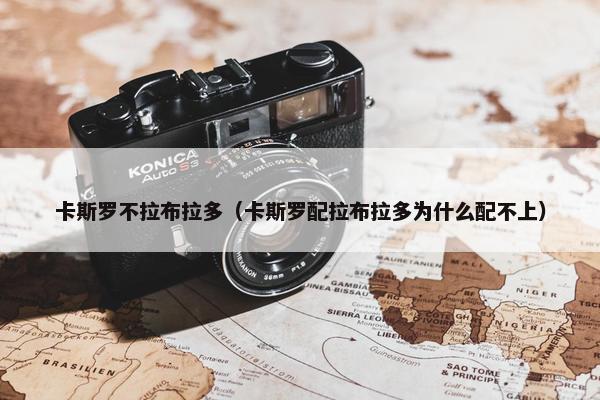 卡斯罗不拉布拉多（卡斯罗配拉布拉多为什么配不上）