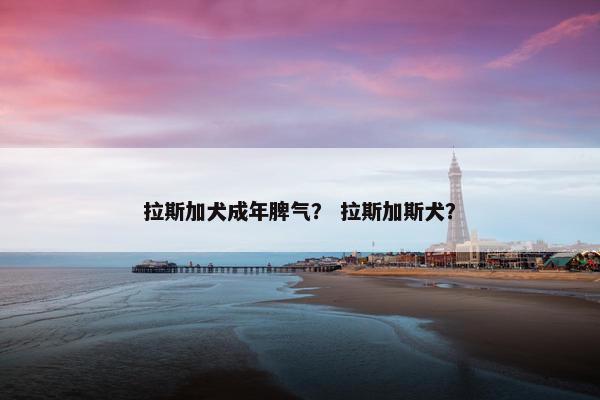 拉斯加犬成年脾气？ 拉斯加斯犬？